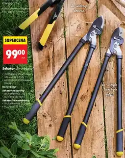 Biedronka Sekator dwuręczny nożycowy Gerlach 74,5cm oferta