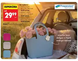 Biedronka Kosz wielofunkcyjny Prosperplast mały 30x15x38,3cm oferta