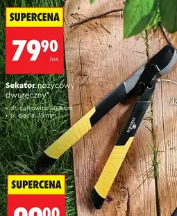 Biedronka Sekator nożycowy dwuręczny Gerlach 40,5cm oferta