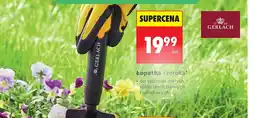 Biedronka Łopatka szeroka GERLACH oferta