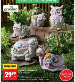Biedronka Figurka w kształcie sowy Gardenic oferta
