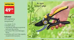 Biedronka Sekator dźwigniowy nożycowy GERLACH śr. cięcia 12cm oferta