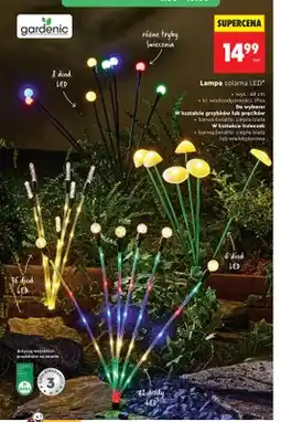 Biedronka Lampa solarna LED Gardenic w kształcie pręcików barwa światła ciepła biała oferta