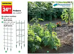 Biedronka Podpora do roślin Prosperplast 120x60cm oferta