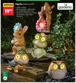 Biedronka Figurka solarna LED królik oferta