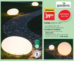 Biedronka Lampa solarna LED kula śr. 20cm gardenic oferta
