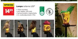 Biedronka Lampa solarna LED oferta