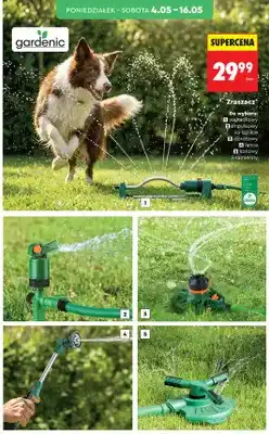 Biedronka Zraszacz impulsowy na szpilce gardenic oferta
