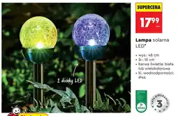 Biedronka Lampa solarna LED gardenic biała 48cm oferta