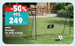 Biedronka Bramka do piłki nożnej UMBRO 300x205x120cm oferta