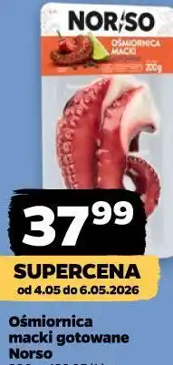Netto Ośmiornica macki gotowane Norso oferta