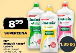 Netto Płyn do mycia naczyń Ludwik (różne rodzaje) oferta