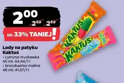 Netto Lody na patyku Kaktus oferta