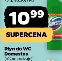 Netto Płyn do WC Domestos (różne rodzaje) oferta