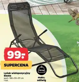 Netto Leżak wielopozycyjny Siesta oferta