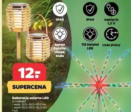 Netto Dekoracja solarna LED (2 rodzaje) oferta