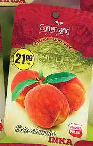 Biedronka Gartenland Brzoskwinia Inka oferta