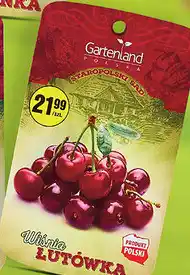 Biedronka Gartenland Wiśnia Łutówka oferta