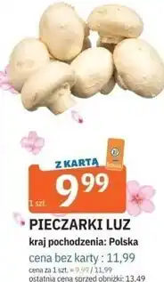 E.Leclerc Pieczarki luz oferta
