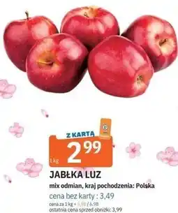 E.Leclerc JABŁKA LUZ mix odmian, kraj pochodzenia: Polska oferta
