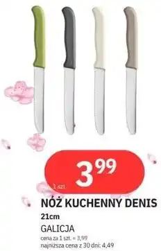 E.Leclerc NÓŻ KUCHENNY DENIS 21cm GALICJA oferta