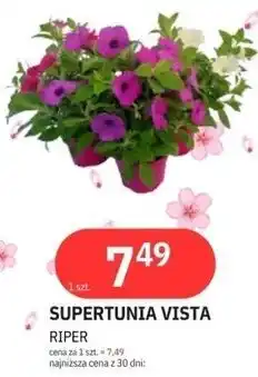 E.Leclerc SUPERTUNIA VISTA RIPER oferta