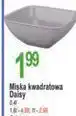 E.Leclerc Miska kwadratowa Daisy Galicja oferta