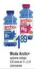 E.Leclerc Woda Arctic+ oferta