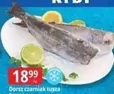 E.Leclerc Dorsz czarniak tusza Transryb oferta