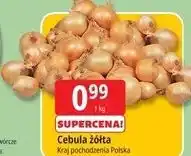 E.Leclerc Cebula żółta oferta