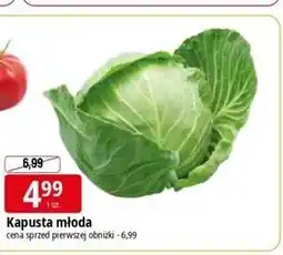 E.Leclerc Kapusta młoda oferta
