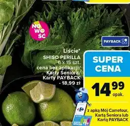 Carrefour Liście* SHISO PERILLA oferta