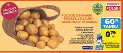 Carrefour Polskie ziemniaki oferta