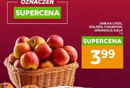 Stokrotka Jabłka Gala polskie oferta
