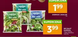 Stokrotka Mix sałat ze szpinakiem Gardinia oferta