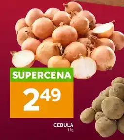Stokrotka Ziemniaki jadalne oferta