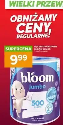 Stokrotka Ręcznik papierowy Bloom Jumbo 2-warstwowy oferta