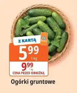 E.Leclerc Ogórki gruntowe oferta