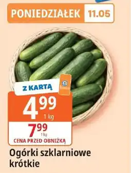 E.Leclerc Ogórki szklarniowe krótkie oferta