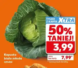 Kaufland Kapusta młoda oferta