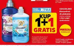 Kaufland Koncentrat do płukania różne rodzaje 1,702/1,288 l opakowanie oferta