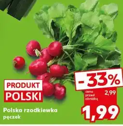 Kaufland Polska rzodkiewka pęczek oferta