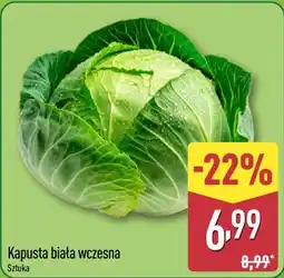 ALDI Kapusta biała wczesna oferta