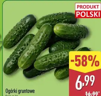 ALDI Ogórki gruntowe oferta
