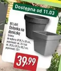 ALDI Osłonka na doniczkę BELAVI oferta