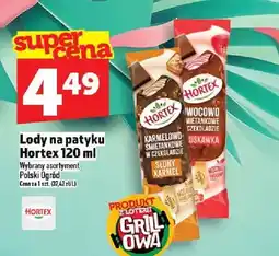 Topaz Lody na patyku Hortex Polski Ogród oferta