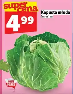 Topaz Kapusta młoda oferta