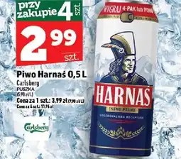 Topaz Piwo Harnaś Carlsberg oferta