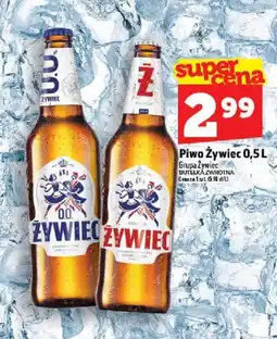 Topaz Piwo Żywiec Grupa Żywiec oferta