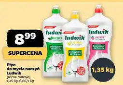 Netto Płyn do mycia naczyń Ludwik oferta